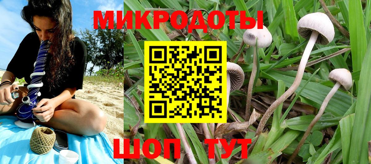 Галлюциногенные грибы ЛСД Новый Уренгой