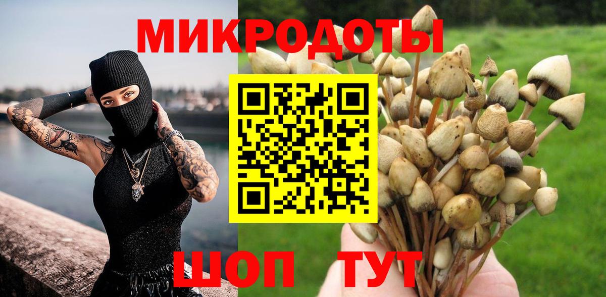 хочу   Галлюциногенные грибы Psilocybine cubensis  Вход с VPN  Новый Уренгой 